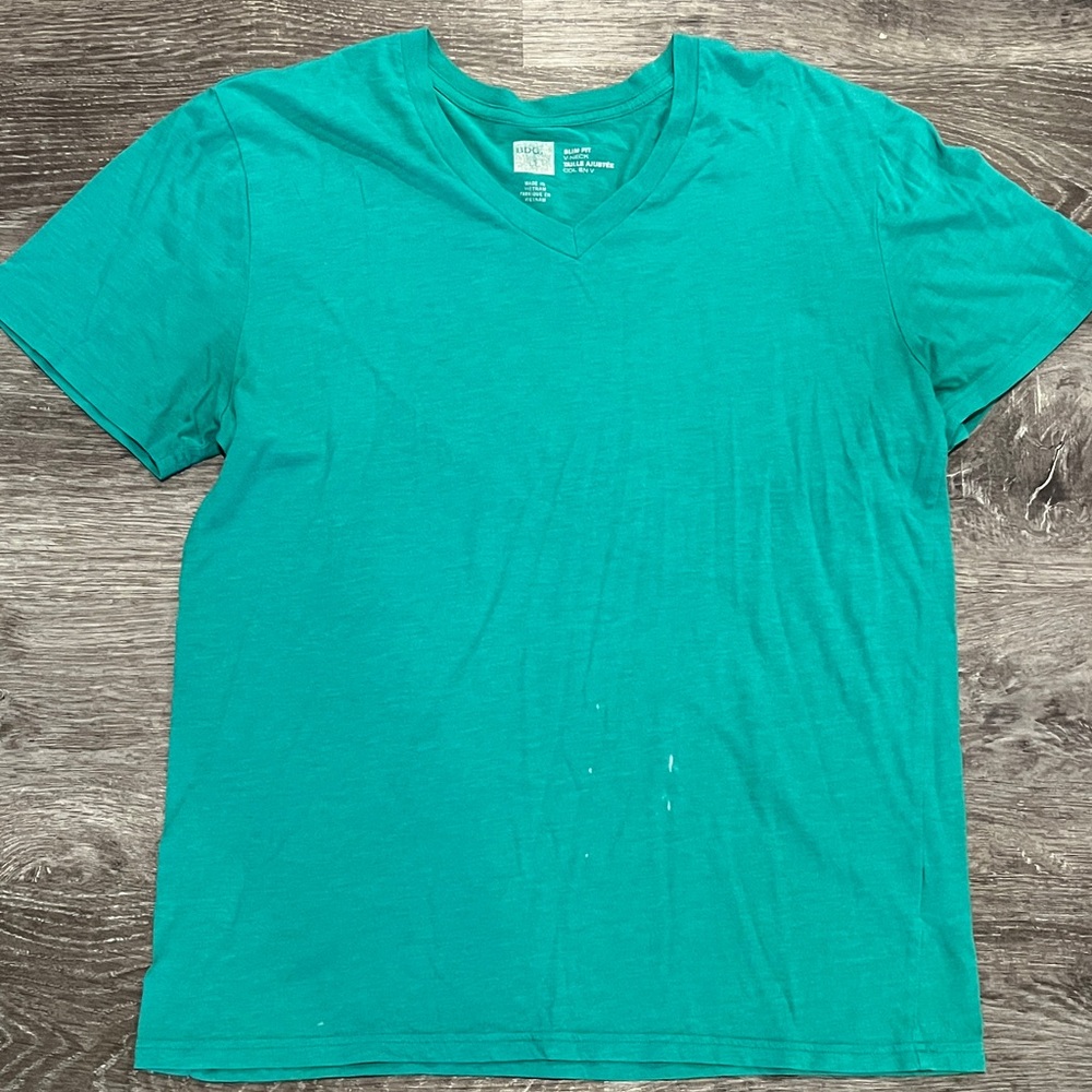 BDG Men's V-Neck Tee in Teal